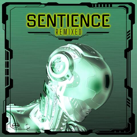 Sentience Remixed, Pt. 2