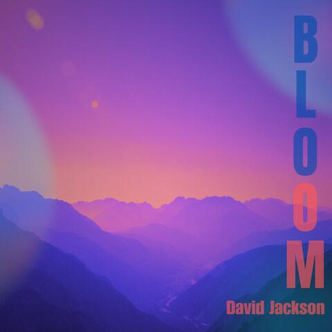 Bloom