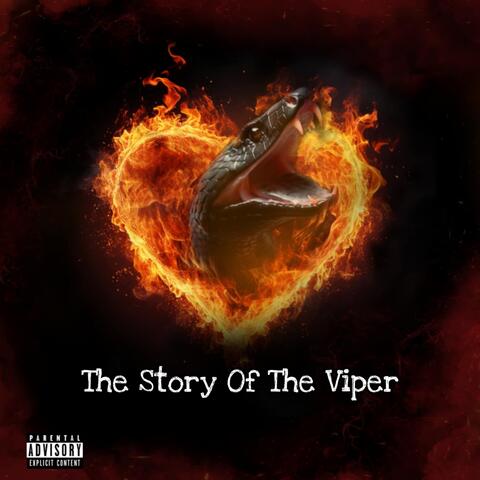 The Story Of The Viper