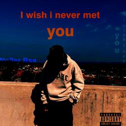 i wish i never met you