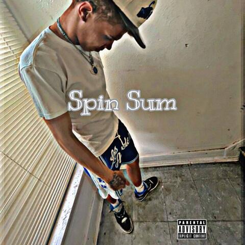 Spin Sum