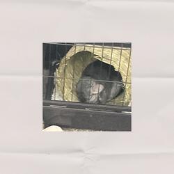 everything will be okay, right?!