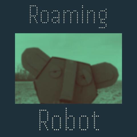 Roaming Robot