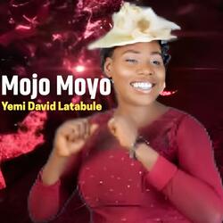 Mojo Moyo