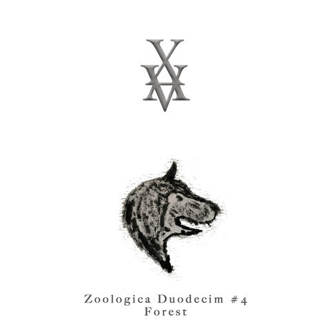 Zoologica Duodecim #4 : Forest