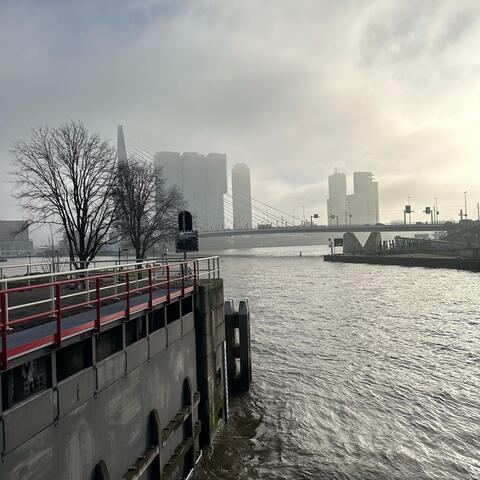 Not A Lovely Day