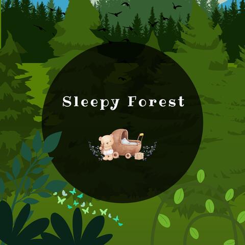 Sleepy Forest