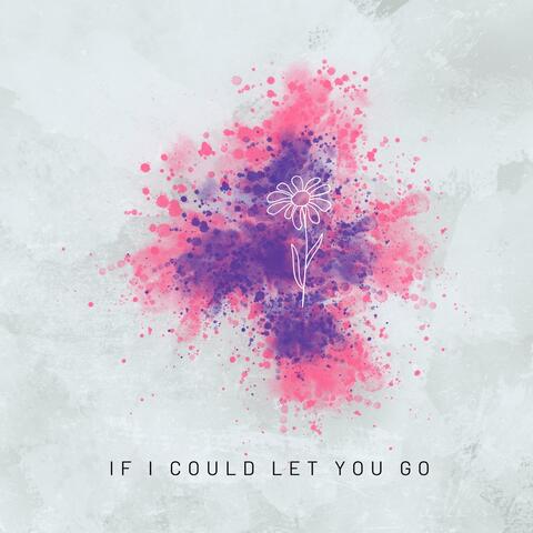 If I Could Let You Go