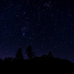 Stars in The Sky