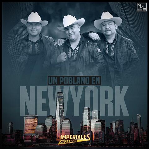 Un Poblano En New York