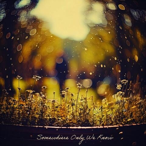 Somewhere Only We Know