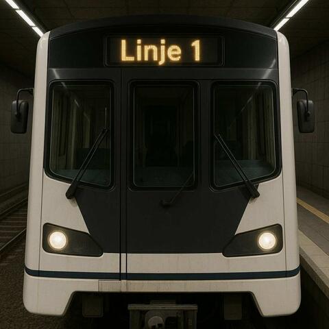 Linje 1