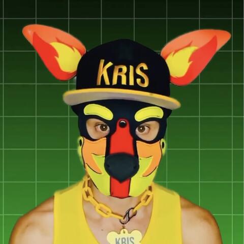 Muscle Puppy