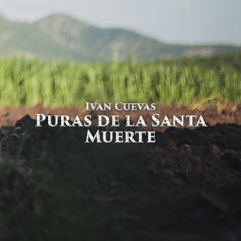 Puras de la Santa Muerte