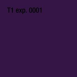 T1 exp. 0001