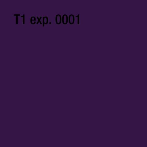 T1 exp. 0001
