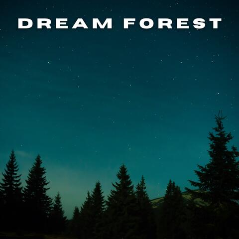 Dream Forest