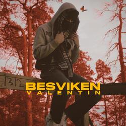 BESVIKEN