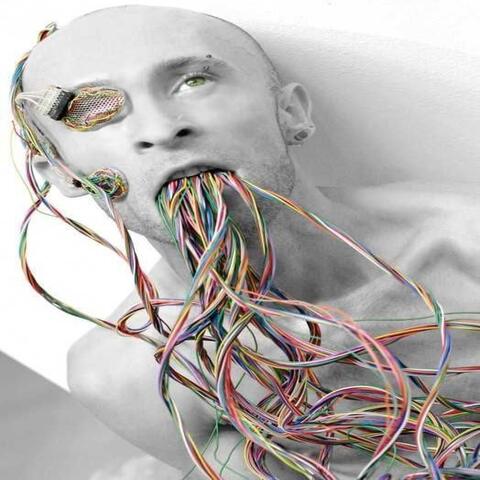 Battles in Brain