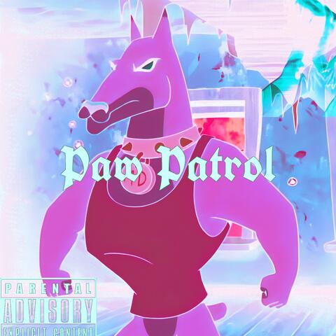 Paw patrol