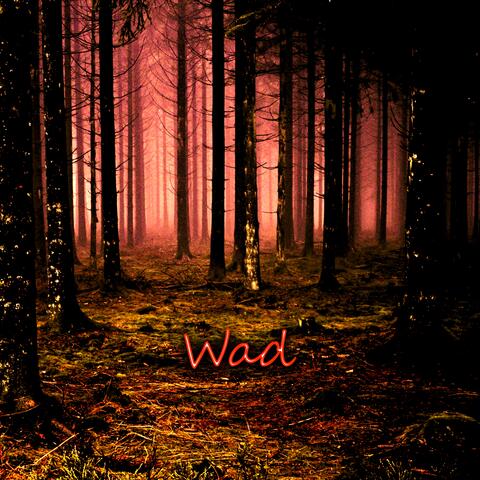 Wad
