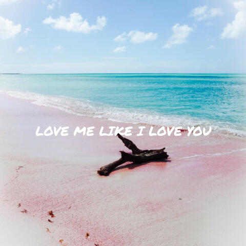 LOVE ME LIKE I LOVE YOU