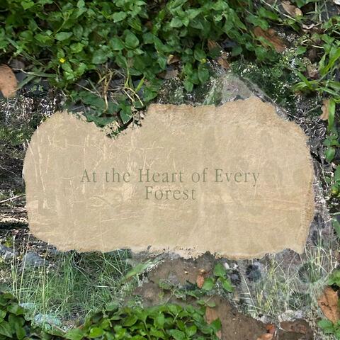 At the Heart of Every Forest
