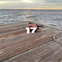17
