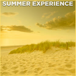 Summer Experience