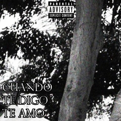 CUANDO TE DIGO TE AMO