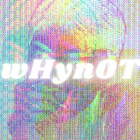 wHyn0T