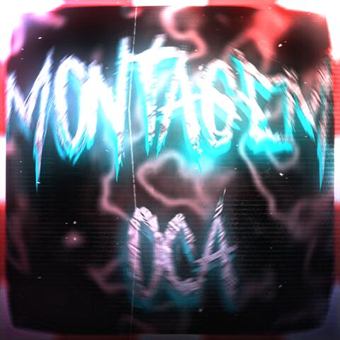 MONTAGEM OCA