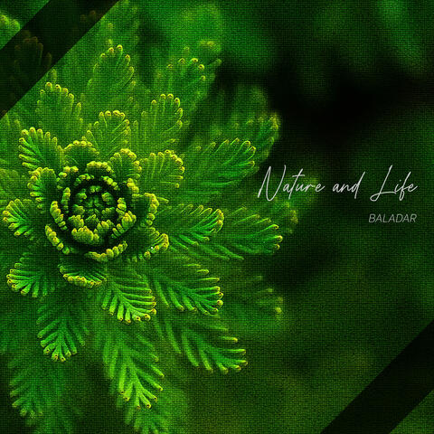 Nature and Life