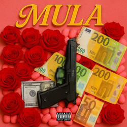 MULA