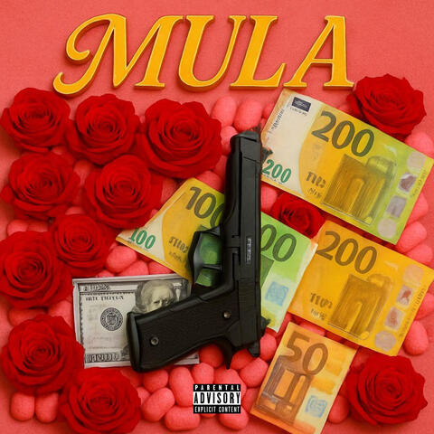 MULA