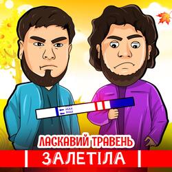 Залетіла
