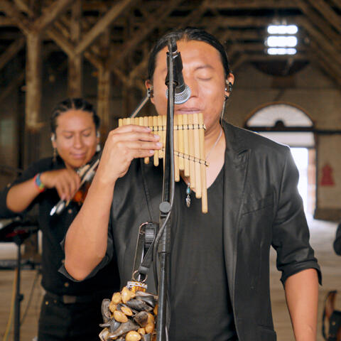 Antonio mocho 3