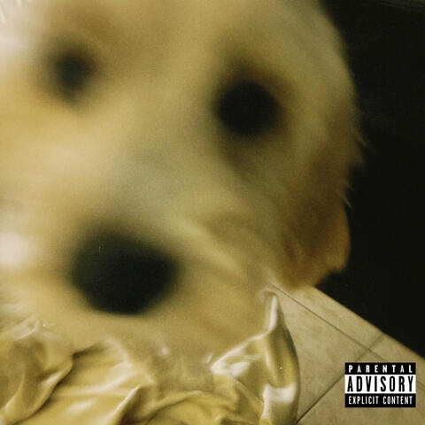 FALLINGINLOVEWITHYOU