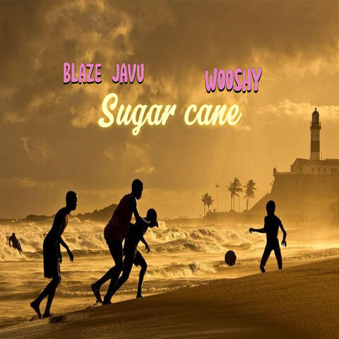Sugar cane
