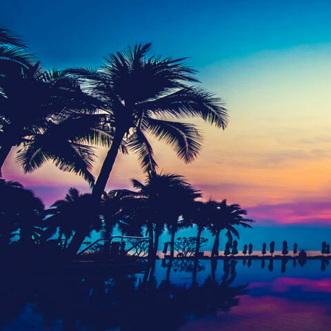 Amanecer Herido
