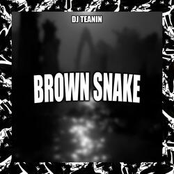 Brown Snake