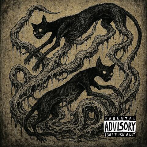 gatos negros