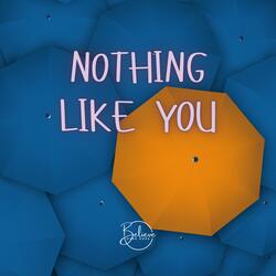 Nothing Like You