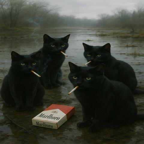 MARLBORO ORO 2