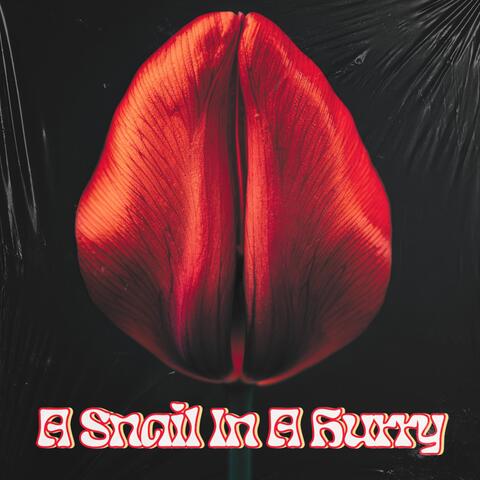 A Snail In A Hurry
