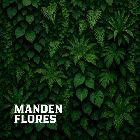 Manden Flores