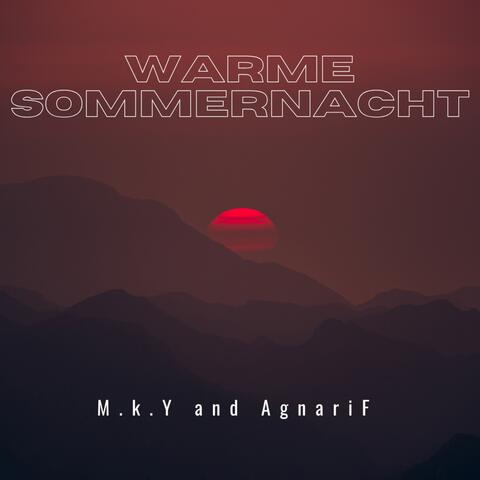 Warme Sommernacht