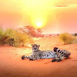 Rein In The Sun (Choral)