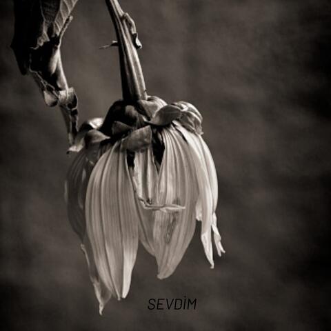 Sevdim