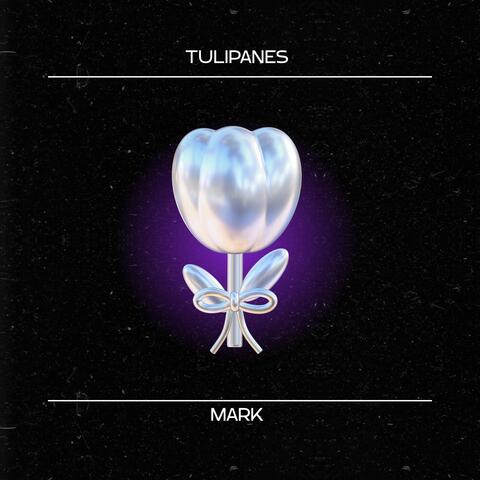 Tulipanes